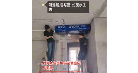 约克麻豆视频在线免费观看两联供